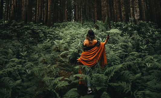 The Healing Power of Forest Bathing: Why You Should Take a Walk in the Woods